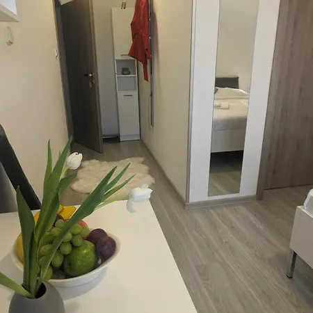 Janousek Motorsport Cesky Krumlov Přísečná